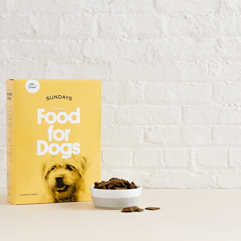 Sundays For Dogs Review